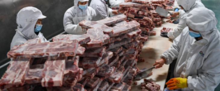 pg电子游戏试玩(中国)官方网站