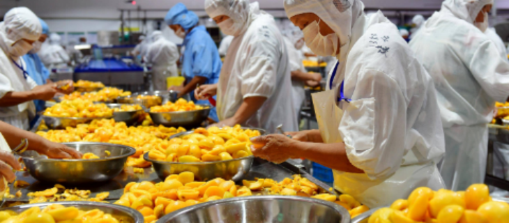 pg电子游戏试玩(中国)官方网站