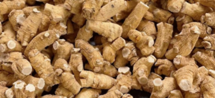 pg电子游戏试玩(中国)官方网站